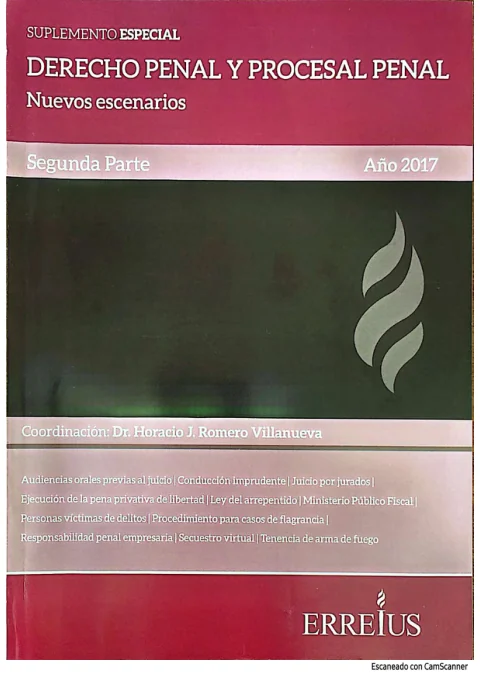 Vista de la publicación Los nuevos tipos penales de conducción imprudente: debates en torno a la controvertida ley 27347